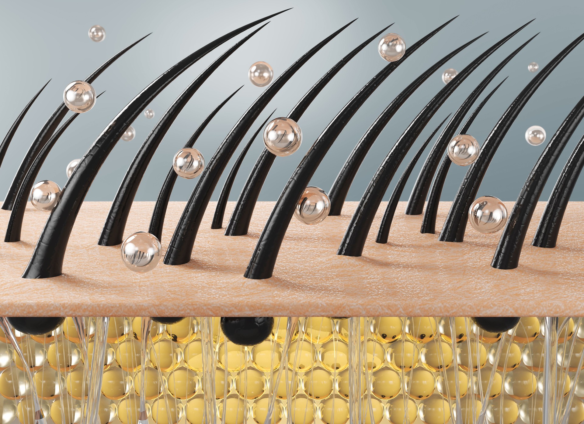 Nourish hair of shampoo or Oil Vitamin serum.