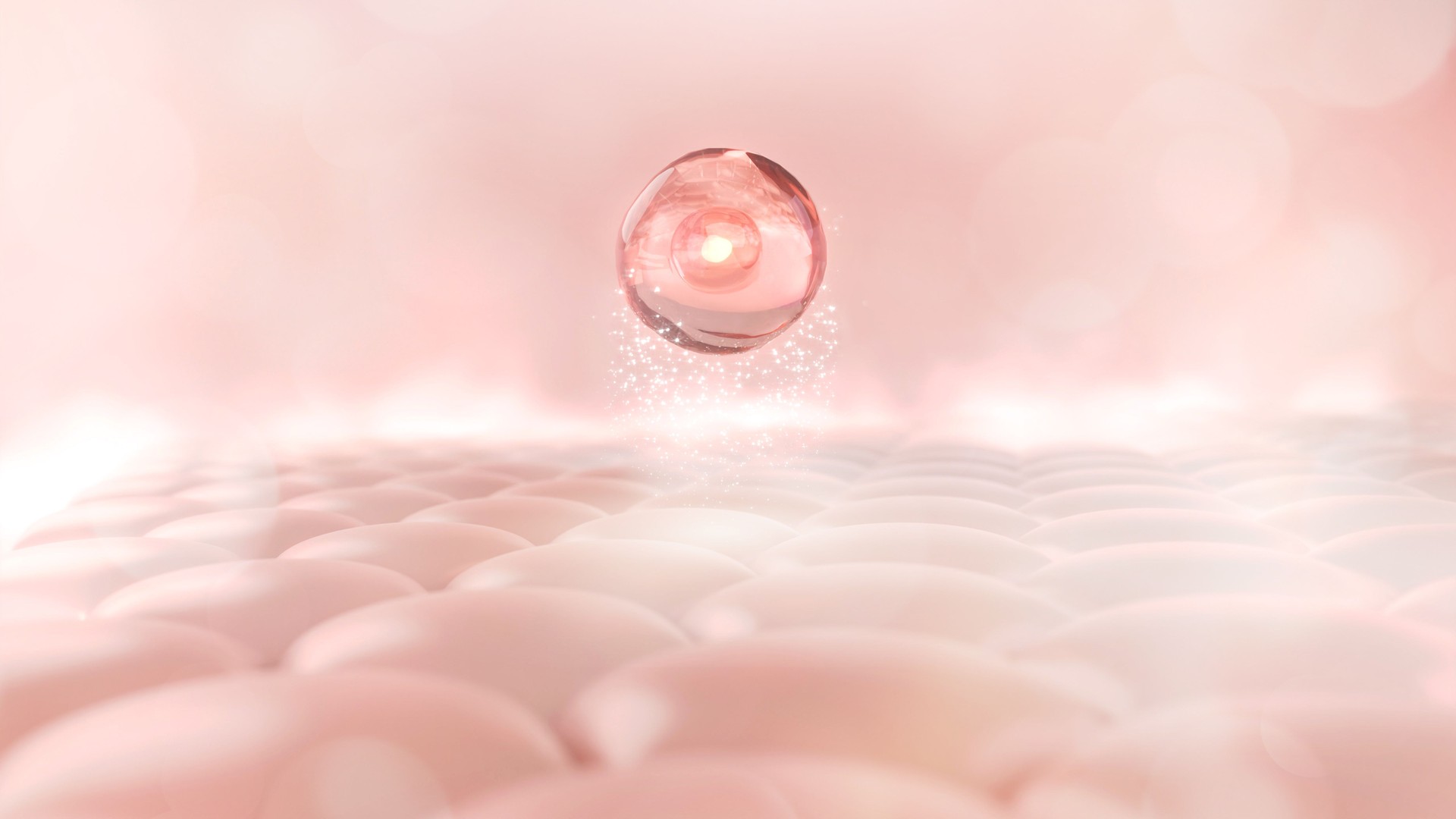 Stem Cells and Skin layer